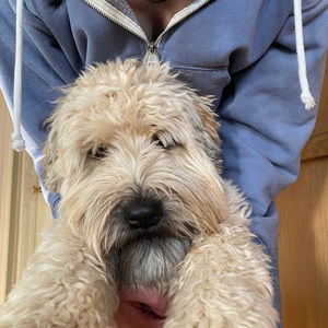 Meet your Posher, Leah